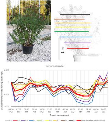 Not All Trees Sleep the Same—High Temporal Resolution Terrestrial Laser Scanning Shows Differences in Nocturnal Plant Movement